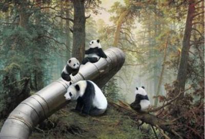 Прикрепленное изображение: pandyis.jpg